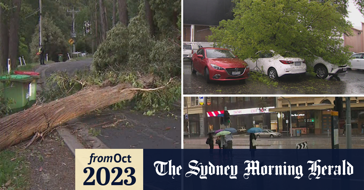 Video Flood alerts for parts of Victoria after cooler weather reduces